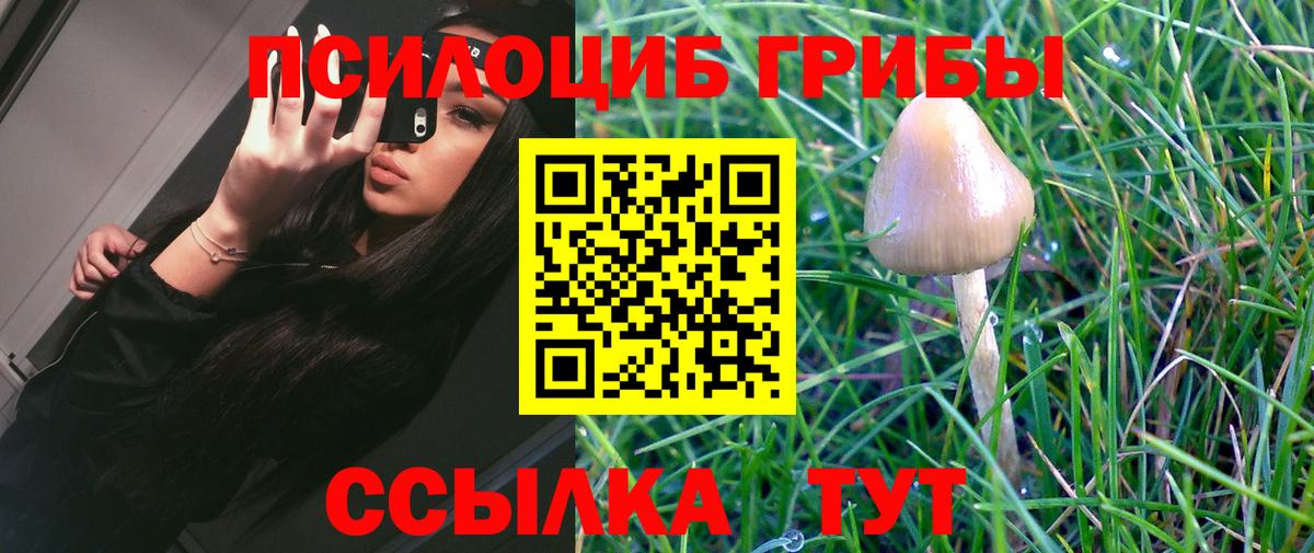 Галлюциногенные грибы GOLDEN TEACHER Калач-на-Дону